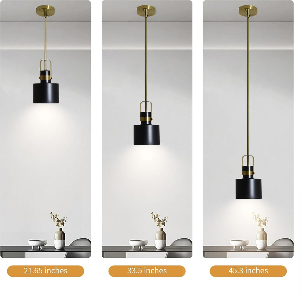 Adjustable Black Farmhouse Pendant Lights