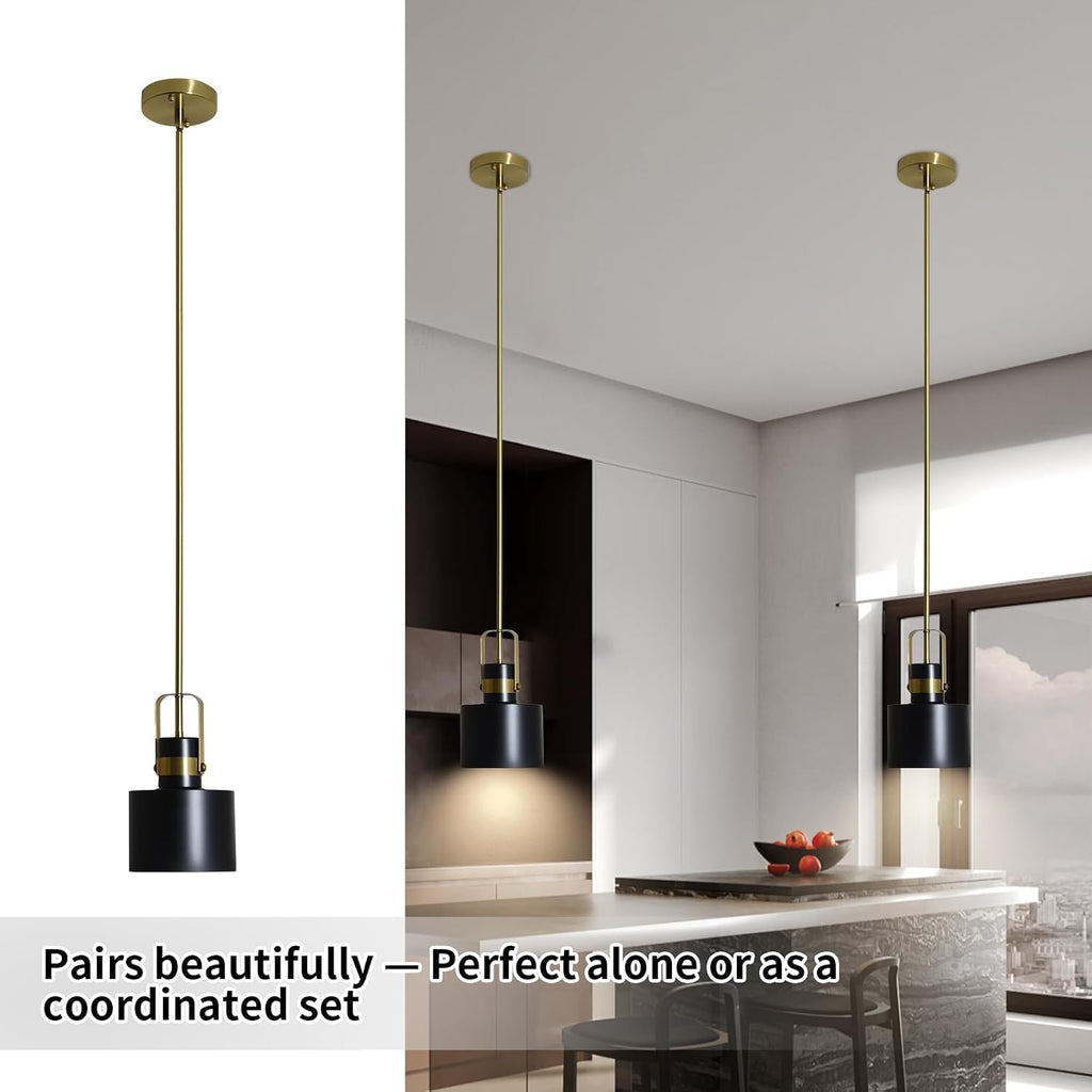 Adjustable Black Farmhouse Pendant Lights